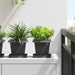 Vază pătrată pentru flori 24 pcs Negru 16 x 16 x 14 cm Plastic - WALTI WALTI