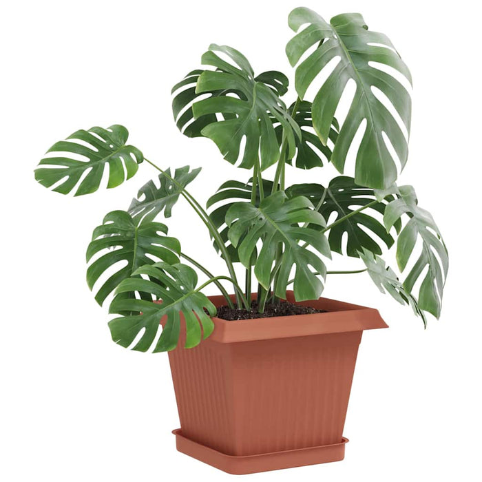 Tavă Pătrată pentru Flori 6 pcs Roșu cărămidă 15 x 15 x 2 cm - WALTI WALTI