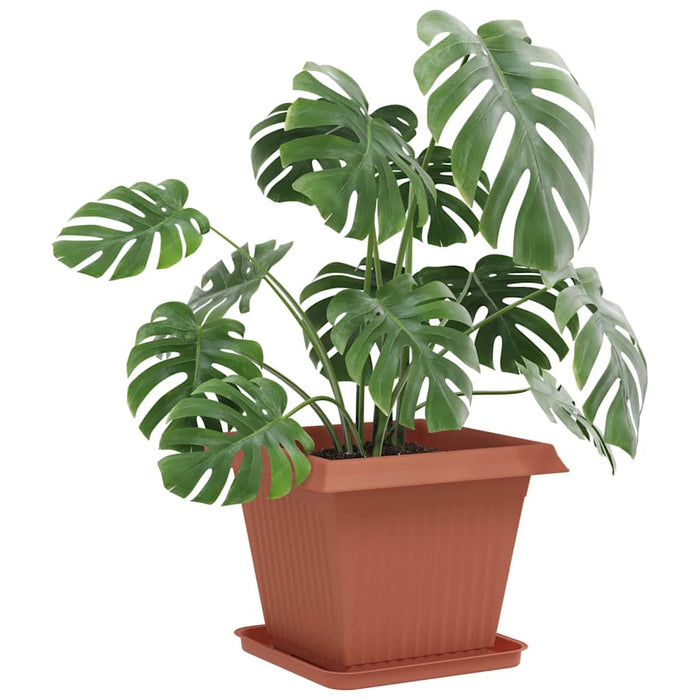 Tavă Pătrată pentru Flori 6 pcs Roșu cărămidă 32 x 32 x 2,5 cm - WALTI WALTI