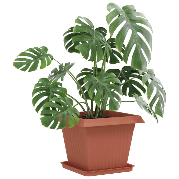 Tavă Pătrată pentru Flori 6 pcs Roșu cărămidă 36 x 36 x 2.5 cm - WALTI WALTI