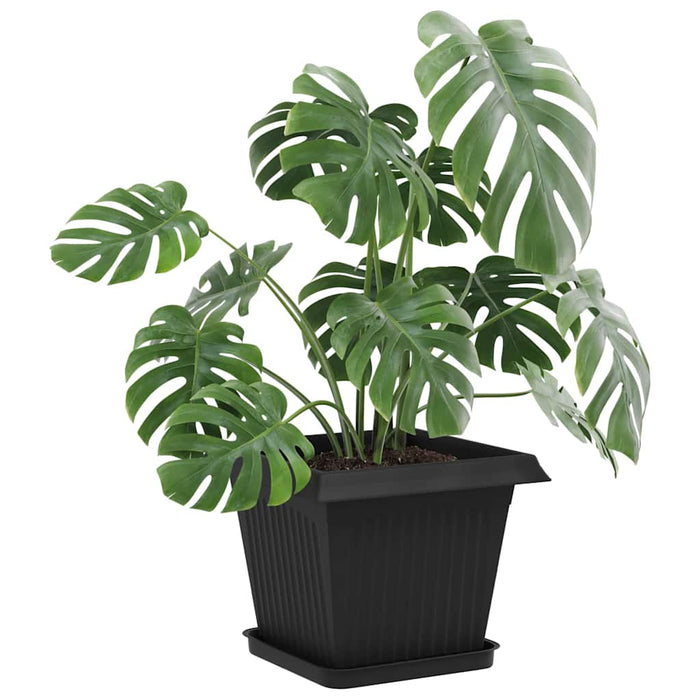 Tavă Pătrată pentru Flori 6 pcs Negru 25,5 x 25,5 x 2,5 cm - WALTI WALTI