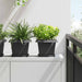 Tavă Pătrată pentru Flori 24 pcs Negru 18 x 18 x 2 cm Plastic - WALTI WALTI
