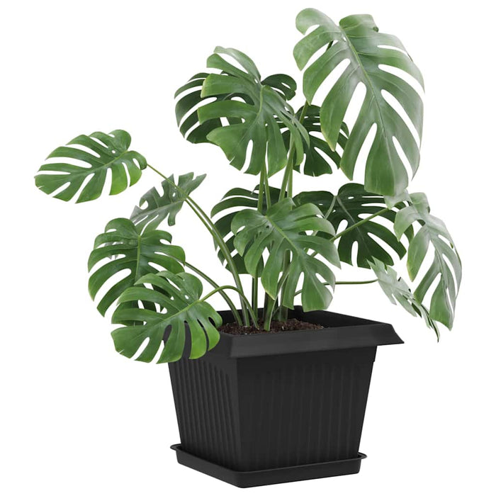 Tavă Pătrată pentru Flori 24 pcs Negru 18 x 18 x 2 cm Plastic - WALTI WALTI