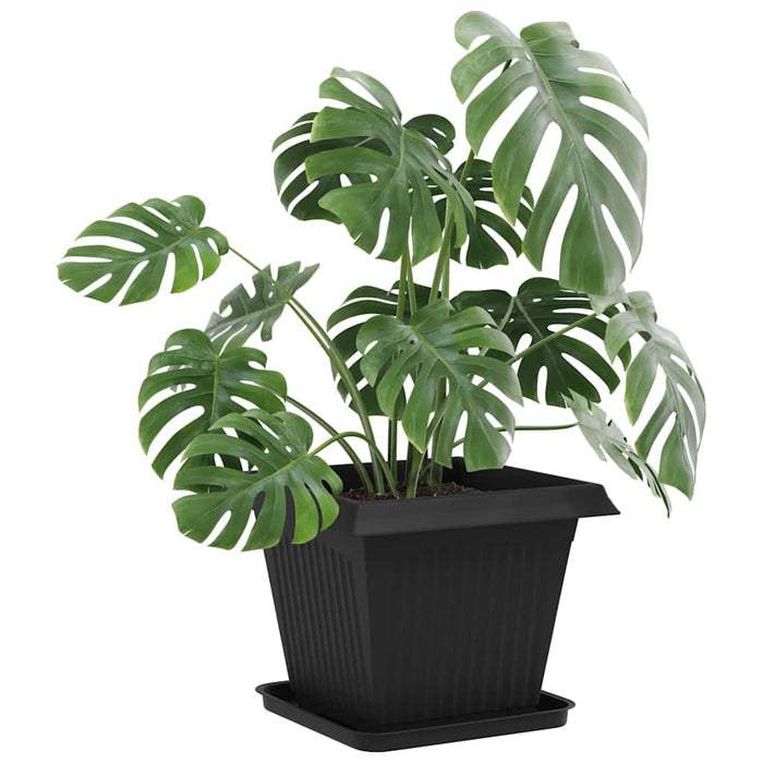 Tavă Pătrată pentru Flori 24 pcs Negru 32 x 32 x 2,5 cm Plastic - WALTI WALTI