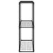Stand pentru plante cu 3 niveluri Negru 100 x 32 x 102 cm Oțel - WALTI WALTI