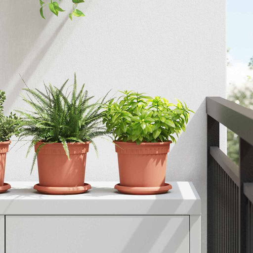 Ghivece pentru plante 6 pcs Roșu cărămidă Ø 15 x 12 cm Plastic - WALTI WALTI
