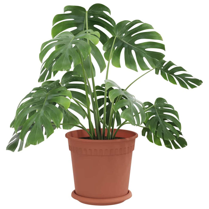 Ghivece pentru plante 6 pcs Roșu cărămidă Ø 19 x 16 cm Plastic - WALTI WALTI
