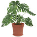 Ghivece pentru plante 6 pcs Roșu cărămidă Ø 19 x 16 cm Plastic - WALTI WALTI