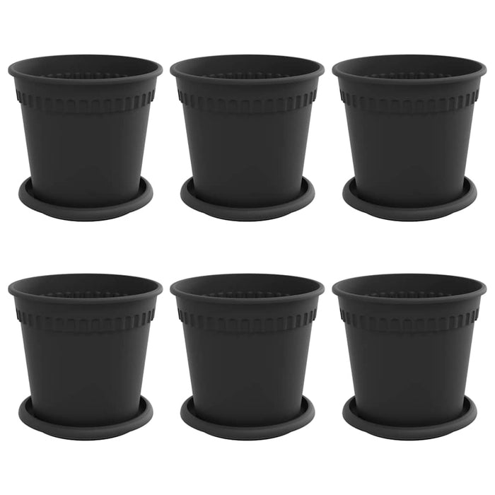 Ghivece pentru plante 6 pcs Negru Ø 17 x 14 cm Plastic - WALTI WALTI