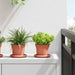 Ghivece pentru plante 24 pcs Roșu cărămidă Ø 12,5 x 10 cm - WALTI WALTI