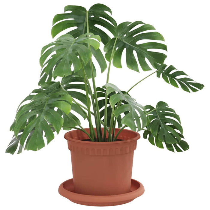 Ghivece pentru plante 24 pcs Roșu cărămidă Ø 12,5 x 10 cm - WALTI WALTI