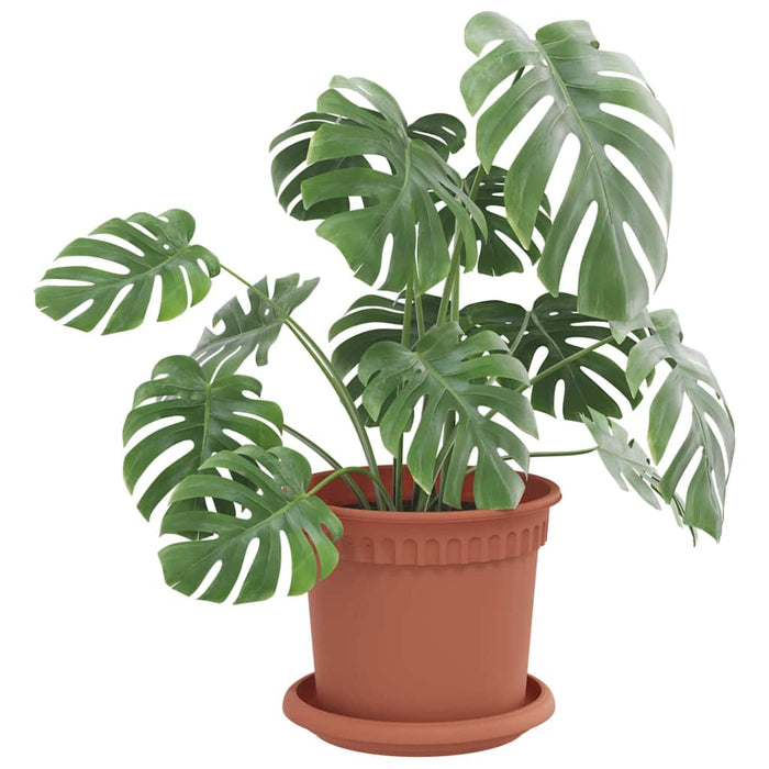 Ghivece pentru plante 24 pcs Roșu cărămidă Ø 15 x 12 cm Plastic - WALTI WALTI