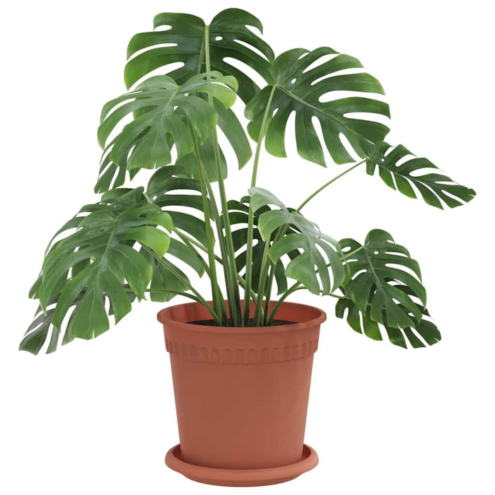 Ghivece pentru plante 24 pcs Roșu cărămidă Ø 17 x 14 cm Plastic - WALTI WALTI