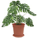Ghivece pentru plante 24 pcs Roșu cărămidă Ø 17 x 14 cm Plastic - WALTI WALTI