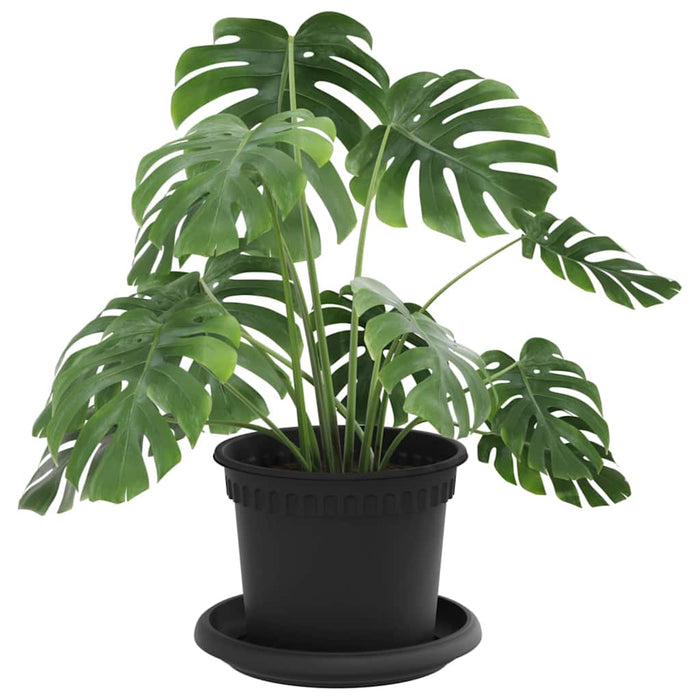 Ghivece pentru plante 24 pcs Negru Ø 12,5 x 10 cm Plastic - WALTI WALTI