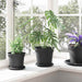 Ghivece pentru plante 24 pcs Negru Ø 17 x 14 cm Plastic - WALTI WALTI