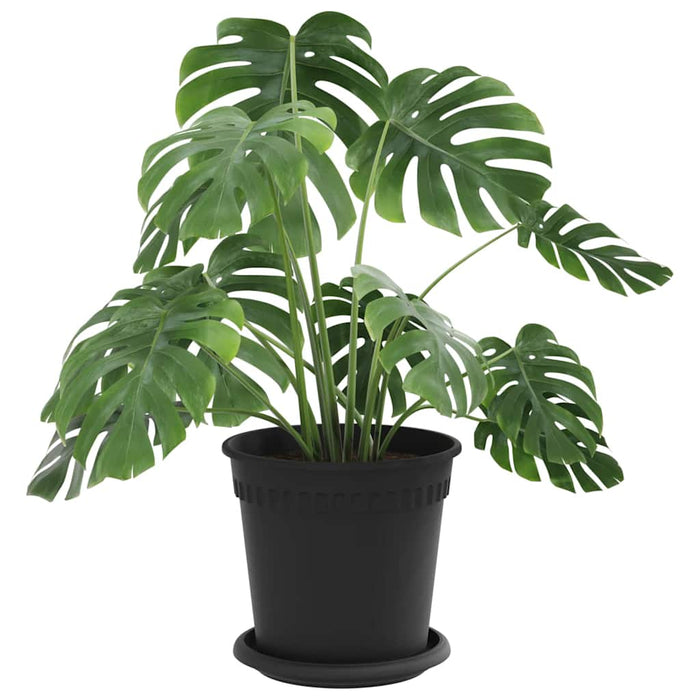 Ghivece pentru plante 24 pcs Negru Ø 17 x 14 cm Plastic - WALTI WALTI