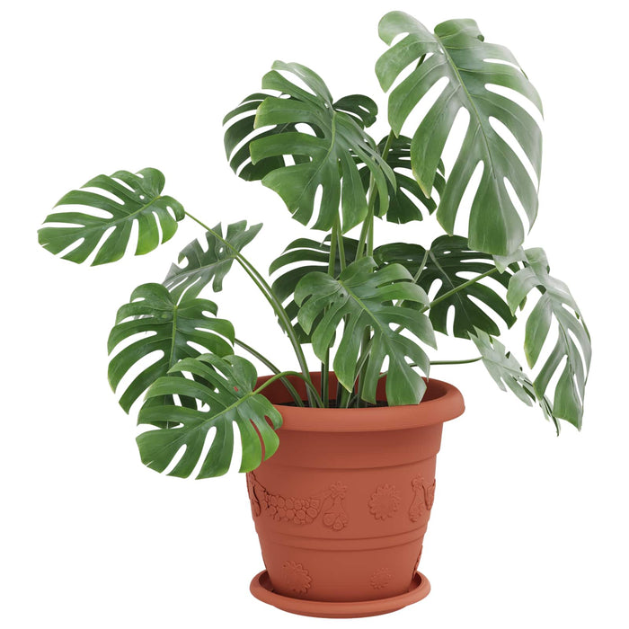 Ghivece pentru plante 6 pcs Roșu cărămidă Ø 26 x 21.5 cm - WALTI WALTI