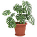 Ghivece pentru plante 6 pcs Roșu cărămidă Ø 26 x 21.5 cm - WALTI WALTI