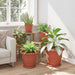 Ghivece pentru plante 6 pcs Roșu cărămidă Ø 26 x 21.5 cm - WALTI WALTI