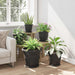 Ghivece pentru plante 6 pcs Negru Ø 26 x 21.5 cm Plastic - WALTI WALTI