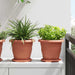 Ghivece pentru plante 24 pcs Roșu cărămidă Ø 26 x 21.5 cm - WALTI WALTI
