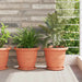 Ghivece pentru plante 24 pcs Roșu cărămidă Ø 26 x 21.5 cm - WALTI WALTI