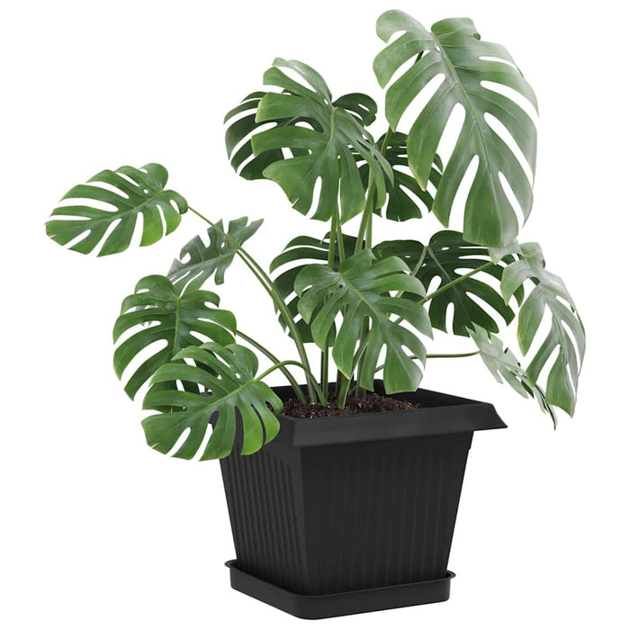 Ghivece pentru plante 6 pcs Negru 20 x 20 x 16 cm Plastic WALTI