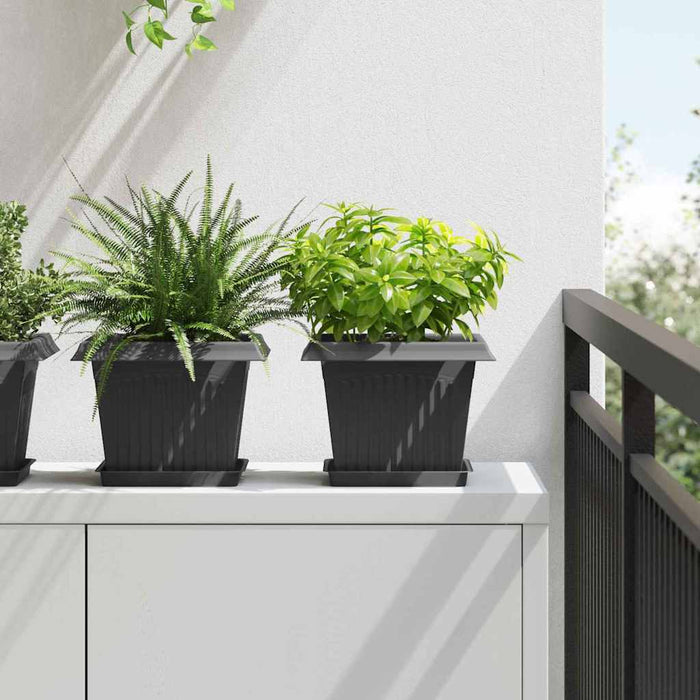 Ghivece pentru plante 6 pcs Negru 23 x 23 x 17,5 cm Plastic WALTI