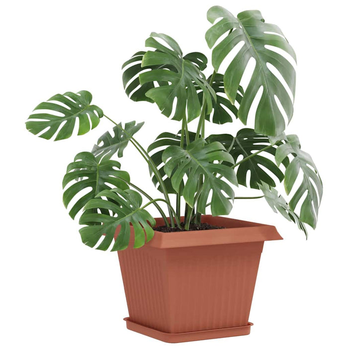 Ghivece pentru plante 24 pcs Roșu cărămidă 28,5 x 28,5 x 22 cm WALTI