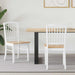 Scaune de dining 2 pcs Alb 50 x 52,5 x 91 cm - WALTI WALTI