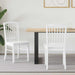 Scaune de dining 2 pcs Alb 50 x 52,5 x 91 cm - WALTI WALTI
