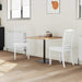 Scaune de dining 2 pcs Alb 50 x 52,5 x 91 cm - WALTI WALTI