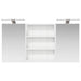 Set dulap baie cu raft 3 pcs 100 x 10,5 x 50 cm Lemn compozit - WALTI WALTI