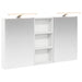 Set dulap baie 3 buc. 110 x 10,5 x 60,5 cm Lemn prelucrat - WALTI WALTI