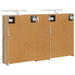 Set dulap baie pentru 3 pcs 106 x 16 x 62,5 cm Lemn compozit - WALTI WALTI