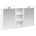 Set dulap baie pentru 3 pcs 116 x 16 x 62,5 cm Lemn compozit - WALTI WALTI