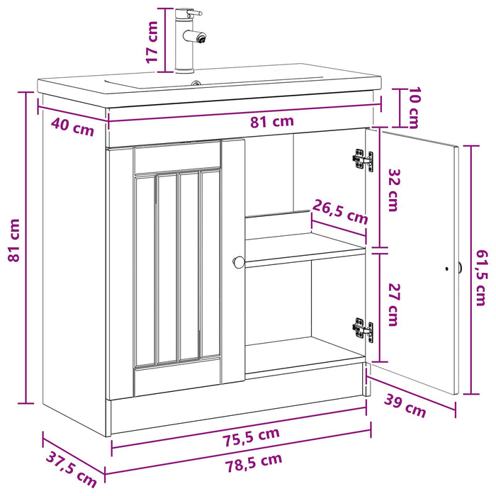 Set de mobilier pentru baie Lemn vechi 78,5 x 37,5 x 81 cm WALTI