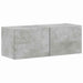 Dulap TV de perete 2 pcs Beton 39 x 31 x 29,5 cm Lemn compozit - WALTI WALTI