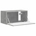 Dulap TV de perete Beton 60 x 31 x 29,5 cm Lemn compozit - WALTI WALTI