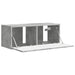 Dulap TV de perete Beton 78,5 x 31 x 29,5 cm Lemn compozit - WALTI WALTI