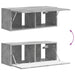 Dulap TV de perete Beton 78,5 x 31 x 29,5 cm Lemn compozit - WALTI WALTI