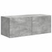 Dulap TV de perete Pe perete 2 pcs Beton 78,5 x 31 x 29,5 cm - WALTI WALTI