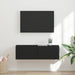 Dulap TV de perete 98 x 31 x 29,5 cm Negru Lemn prelucrat - WALTI WALTI