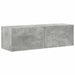 Dulap TV de perete 2 pcs Beton 98 x 31 x 29,5 cm Lemn compozit - WALTI WALTI