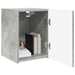 Dulap TV de perete Beton 30 x 31 x 40 cm Lemn compozit - WALTI WALTI