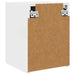 Dulap TV de perete Alb Lucios 30 x 31 x 40 cm Lemn compozit - WALTI WALTI