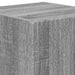 Dulap TV de perete Pe perete 2 pcs Gri Sonoma 30 x 31 x 40 cm - WALTI WALTI