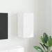 Dulap TV de perete Pe perete Alb 30 x 31 x 60 cm Lemn compozit - WALTI WALTI