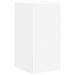 Dulap TV de perete Pe perete Alb 30 x 31 x 60 cm Lemn compozit - WALTI WALTI